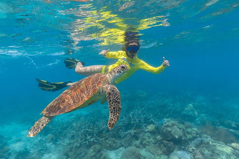 Ocean Safari Great Barrier Reef Experience In Cape Tribulation - Attractions Perth 14