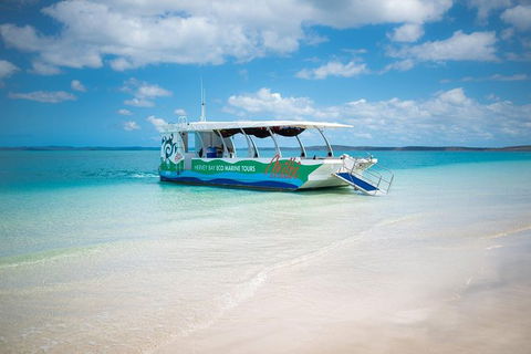 Great Sandy Marine Park Turtle Discovery And Cultural Eco Tour - Attractions Perth 0