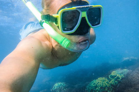 Great Sandy Marine Park Turtle Discovery And Cultural Eco Tour - Attractions Perth 2