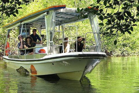 Cairns Reef And Rainforest Combo: Daintree Rainforest And The Great Barrier Reef - Attractions Perth 5
