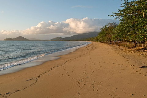 Cairns Reef And Rainforest Combo: Daintree Rainforest And The Great Barrier Reef - Attractions Perth 10