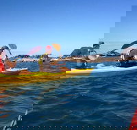 Port Douglas Half-Day Kayak Tour - Attractions Perth