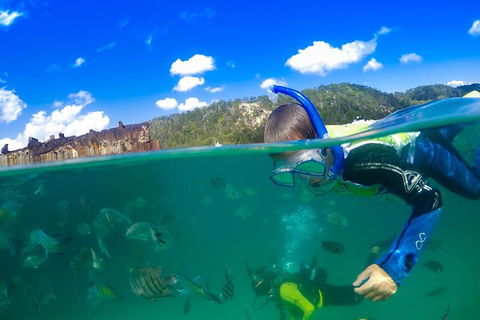 Dolphin Viewing Day Cruise To Tangalooma Island Resort On Moreton Island - Attractions Perth 3
