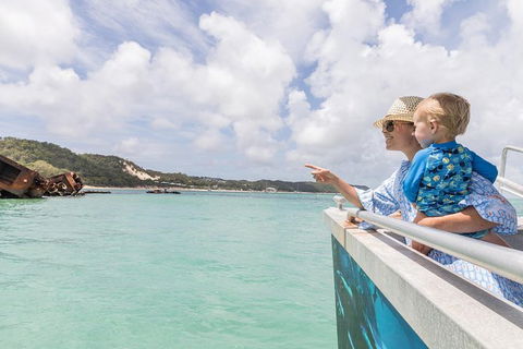 Dolphin Viewing Day Cruise To Tangalooma Island Resort On Moreton Island - Attractions Perth 7