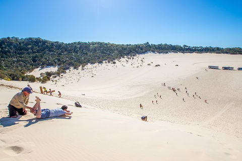 Dolphin Viewing Day Cruise To Tangalooma Island Resort On Moreton Island - Attractions Perth 6