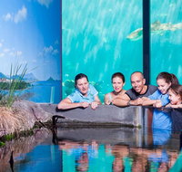 Reef HQ Great Barrier Reef Aquarium General Entry Ticket - Attractions Perth