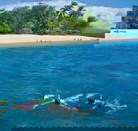 Wavedancer Low Isles Great Barrier Reef Sailing Cruise from Port Douglas - Attractions Perth