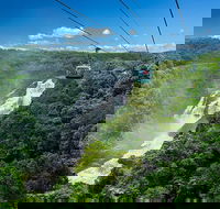 Skyrail Rainforest Cableway Day Trip from Port Douglas - Attractions Perth