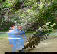 Mossman River Drift Snorkelling from Port Douglas or Mossman - Attractions Perth