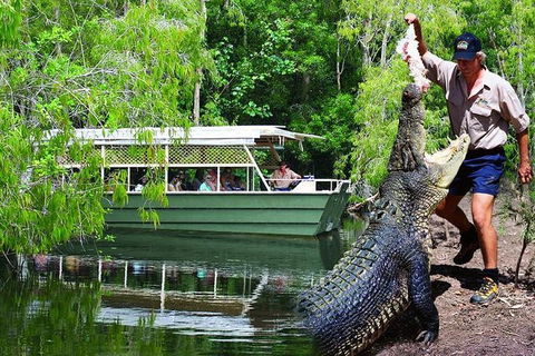 Crocs, Creatures And Culture Ex Northern Beaches - Attractions Perth 1