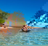 Half Day Low Isles Snorkelling Tour from Port Douglas - Attractions Perth