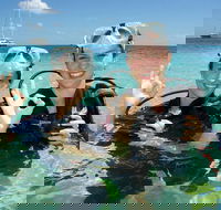 Ocean Spirit Michaelmas Cay Dive and Snorkel Cruise from Palm Cove - Attractions Perth