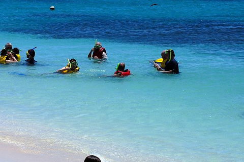 Ocean Spirit Michaelmas Cay Dive And Snorkel Cruise From Palm Cove - Attractions Perth 1