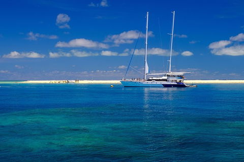 Ocean Spirit Michaelmas Cay Dive And Snorkel Cruise From Palm Cove - Attractions Perth 3