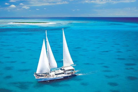 Ocean Spirit Michaelmas Cay Dive And Snorkel Cruise From Palm Cove - Attractions Perth 8