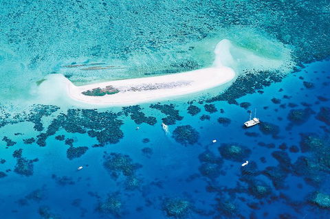 Ocean Spirit Michaelmas Cay Dive And Snorkel Cruise From Palm Cove - Attractions Perth 7