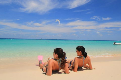 Ocean Spirit Michaelmas Cay Dive And Snorkel Cruise From Palm Cove - Attractions Perth 2