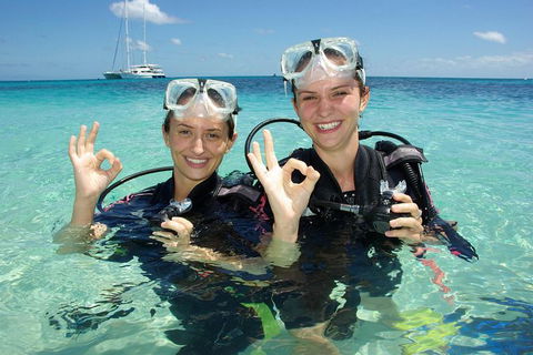 Ocean Spirit Michaelmas Cay Dive And Snorkel Cruise From Palm Cove - Attractions Perth 10