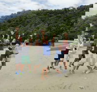 Private Daintree Wanderer Tour - Attractions Perth