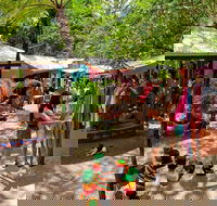Kuranda Day Trip small group from Port Douglas by bus - Attractions Perth