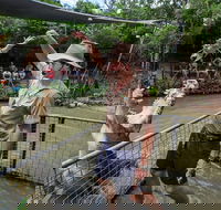 Hartley's Crocodile Adventures Day Trip from Cairns - Attractions Perth