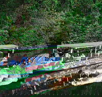 Daintree River Cruise - Attractions Perth