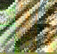 Rainforest  Waterfalls Extravaganza - Attractions Perth