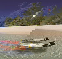 Wavedancer Low Isles Great Barrier Reef Sailing Cruise from Palm Cove - Attractions Perth
