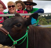Mackay's Day in the Clouds Paddock to Plate Tour - Attractions Perth