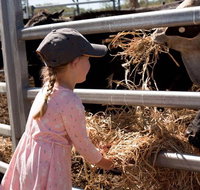 Mackay Farm Food and Flavours Tour - Attractions Perth