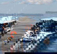 Hervey Bay Whale Swim and Watch - Attractions Perth
