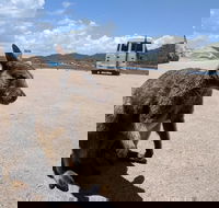 Magnetic Island Tour Maggie Comprehensive - Attractions Perth