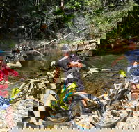 Electric Mountain Bike Rainforest Eco Tour - Attractions Perth