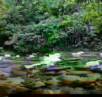 Mossman Silky Oaks to/from Cairns - Attractions Perth