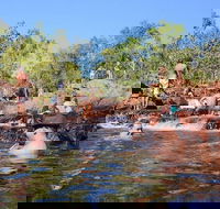 Litchfield and Jumping Crocodiles Full Day Trip from Darwin - Attractions Perth