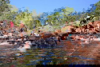 Litchfield and Jumping Crocodiles Full Day Trip from Darwin