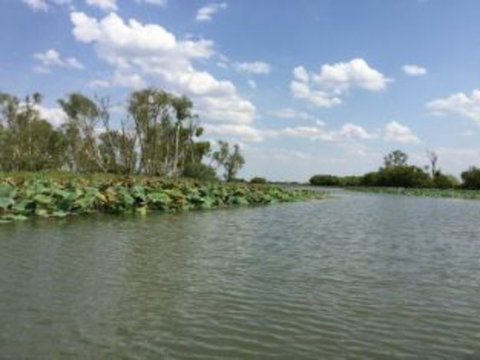 1 Day Corroboree Billabong Wetland Experience Including 2.5 Hour Cruise + Lunch - Attractions Perth 4