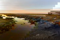 1 Day Corroboree Billabong Wetland Experience including 2.5 hour cruise  lunch