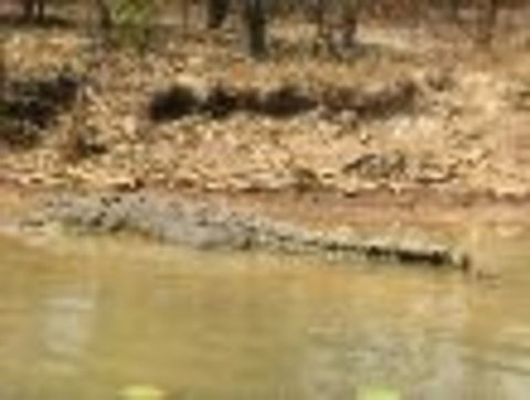 1 Day Corroboree Billabong Wetland Experience Including 2.5 Hour Cruise + Lunch - Attractions Perth 6