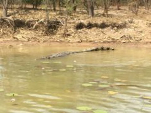 1 Day Corroboree Billabong Wetland Experience Including 2.5 Hour Cruise + Lunch - Attractions Perth 5