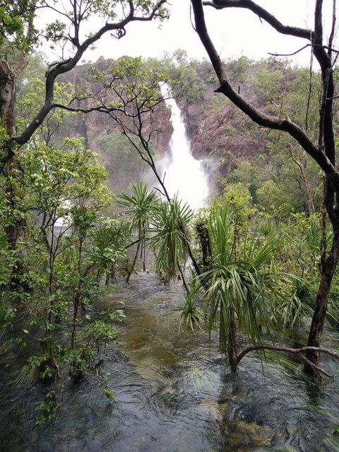 Small-Group Litchfield National Park Day Trip From Darwin - Attractions Perth 6