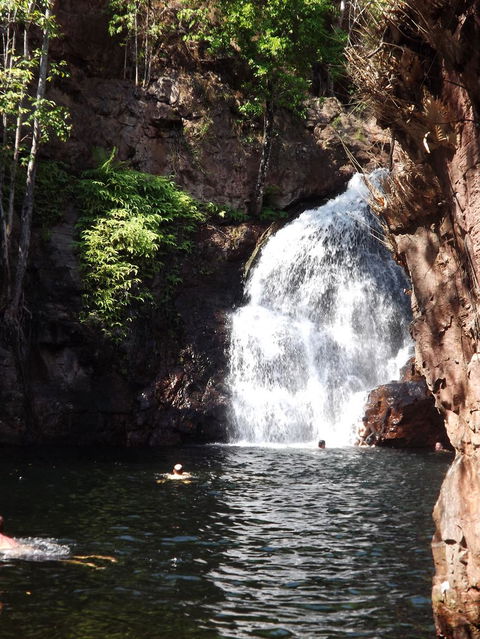 Small-Group Litchfield National Park Day Trip From Darwin - Attractions Perth 13
