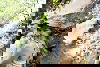 Small-Group Litchfield National Park Day Trip from Darwin