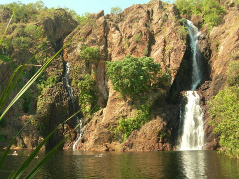 Small-Group Litchfield National Park Day Trip From Darwin - Attractions Perth 15