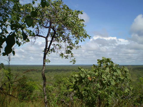 Small-Group Litchfield National Park Day Trip From Darwin - Attractions Perth 8