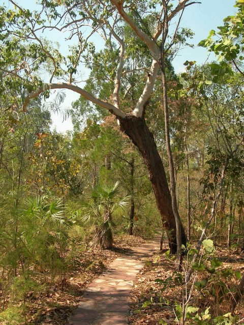 Small-Group Litchfield National Park Day Trip From Darwin - Attractions Perth 14