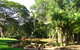 Darwin Afternoon Sightseeing Tour - thumb 0