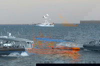 1-Hour Darwin Harbour Highlights Cruise