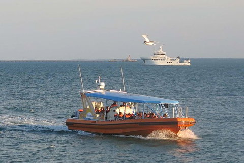 1-Hour Darwin Harbour Highlights Cruise - Attractions Perth 2