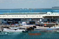 Darwin Harbour Bombing of Darwin Cruise